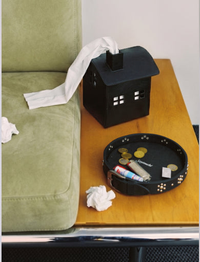 Leather House Tissue Case