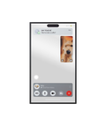 Facetime Mirror 01
