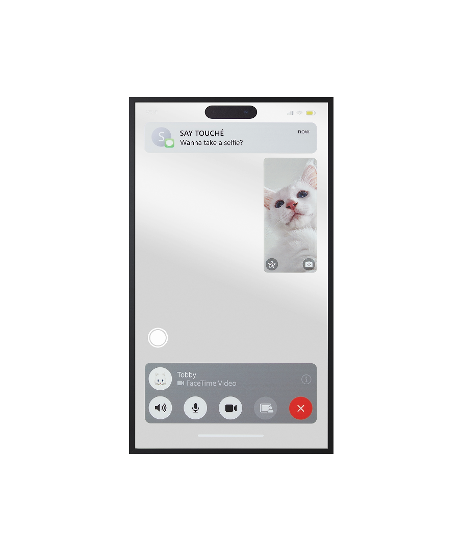 Facetime Mirror 02