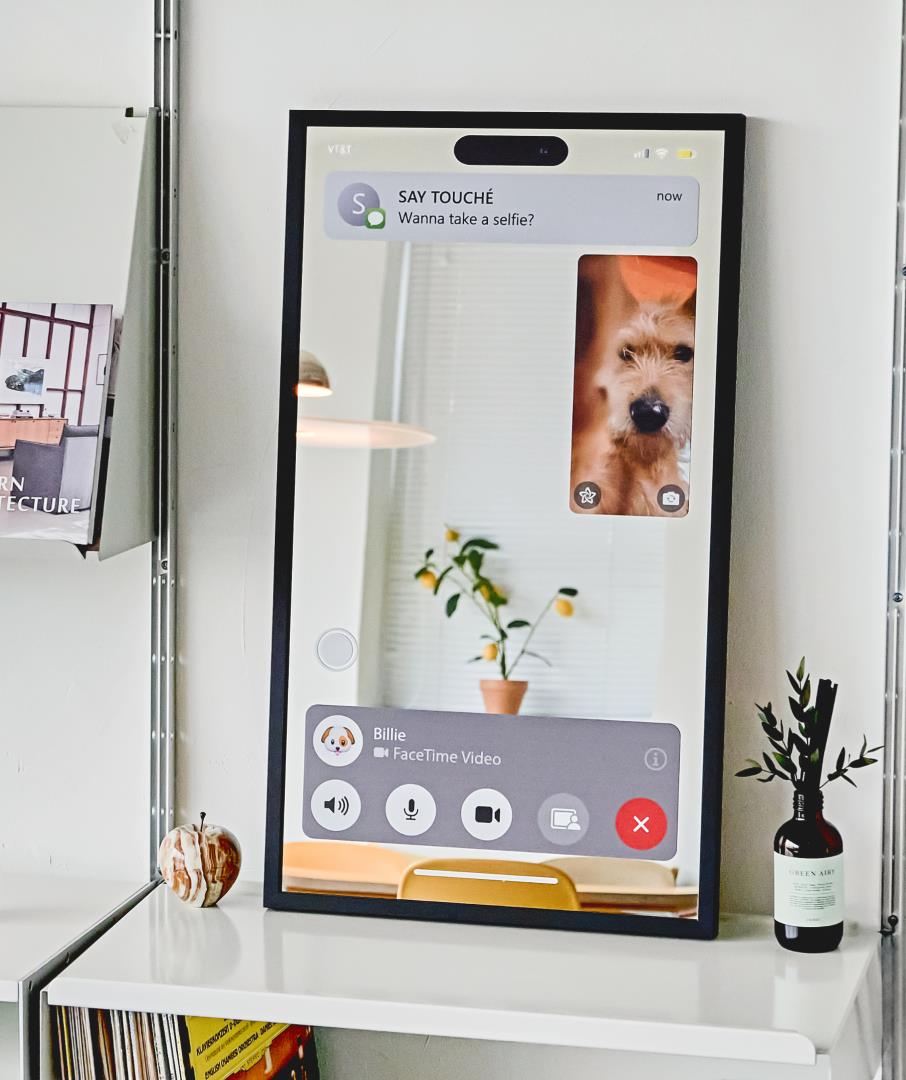 Facetime Mirror 01