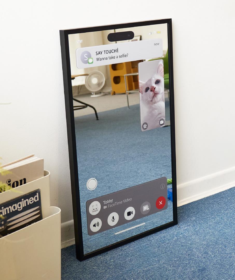 Facetime Mirror 02