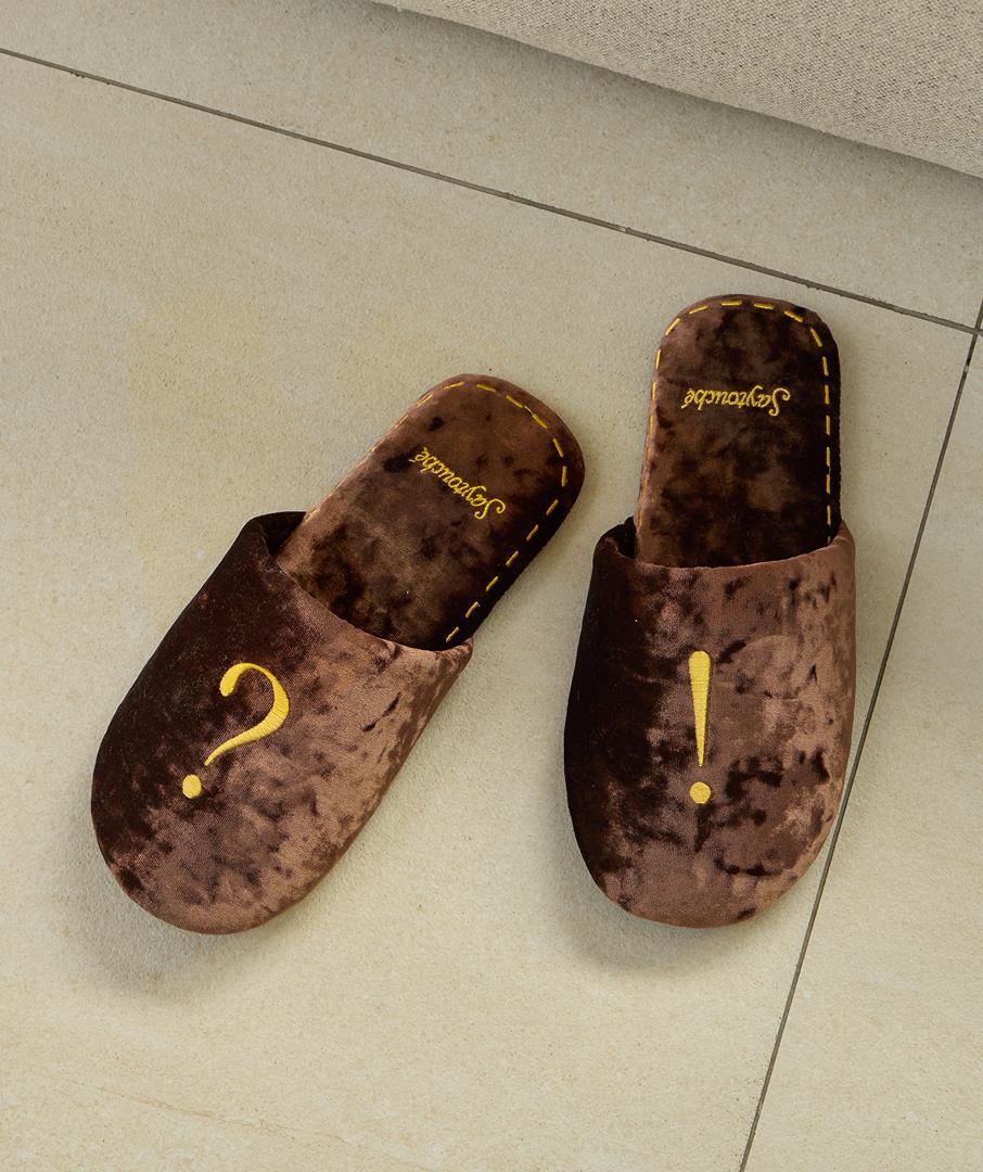 Velvet Room Shoes Brown 2sizes