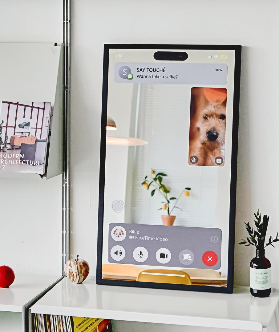 Facetime Mirror 01