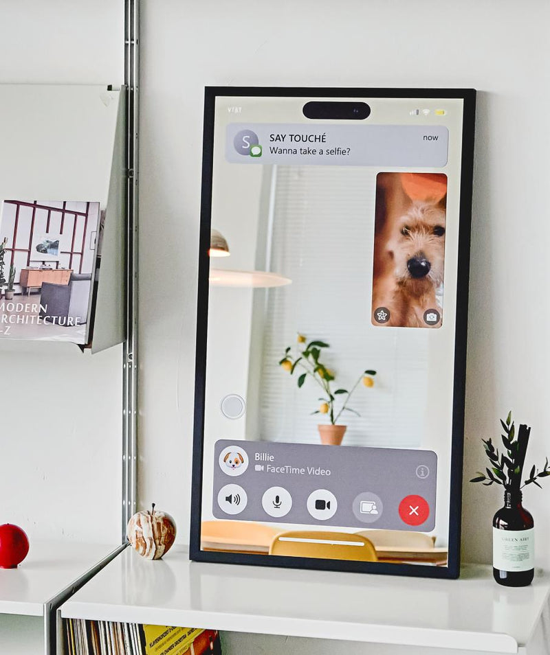Facetime Mirror 01