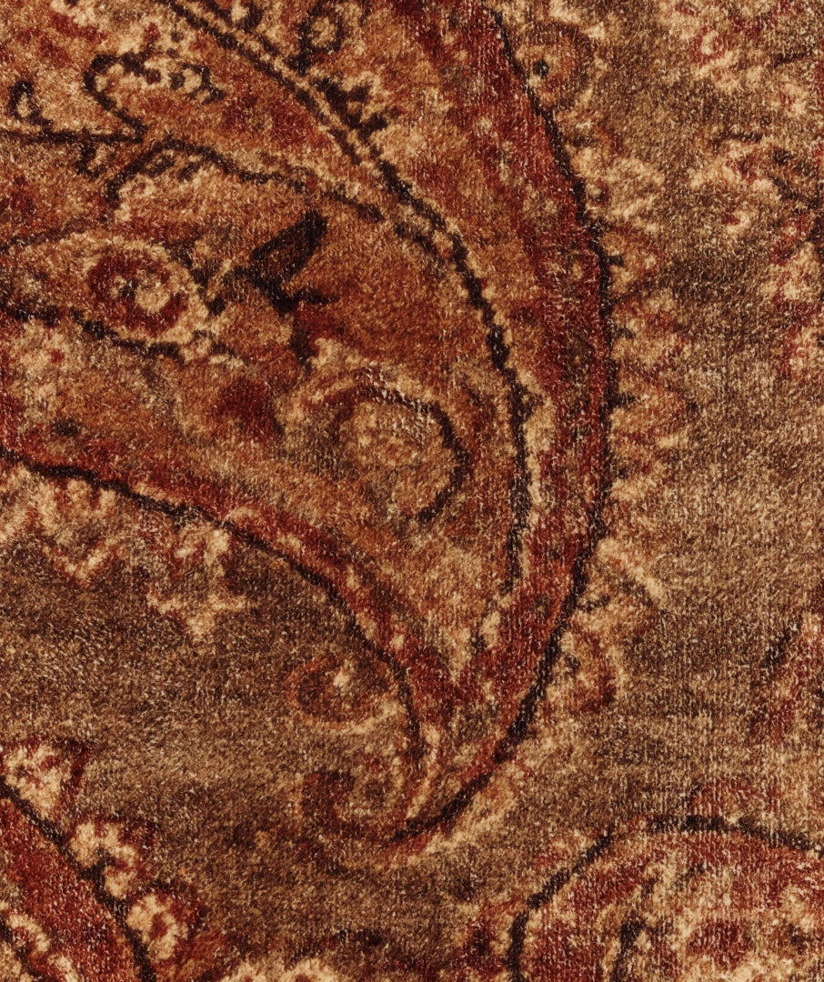 Liquified Paisley Rug Brown 3sizes
