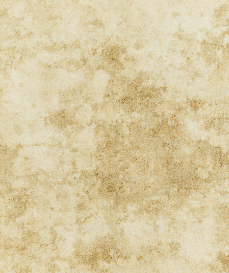 Liquified Patina Rug Ivory 3sizes