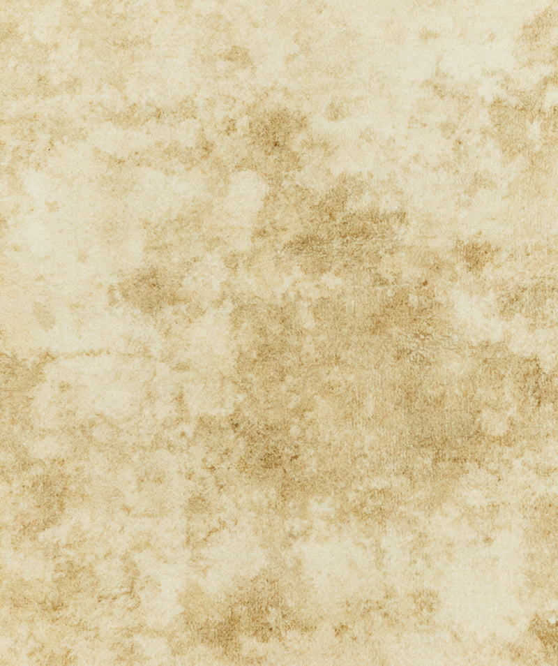 Liquified Patina Rug Ivory 3sizes