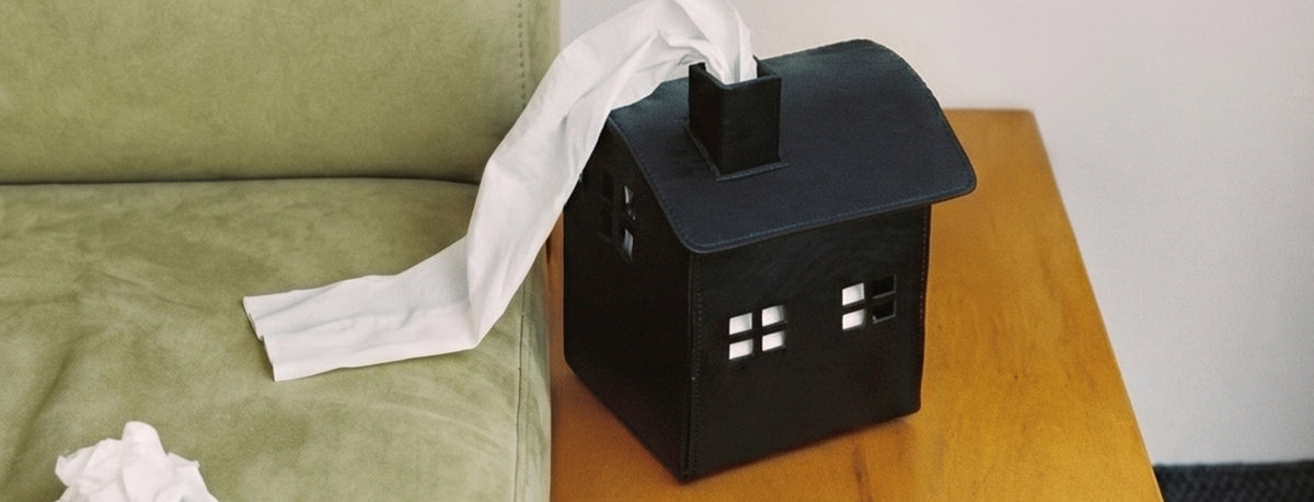 Leather House|Tissue Case
